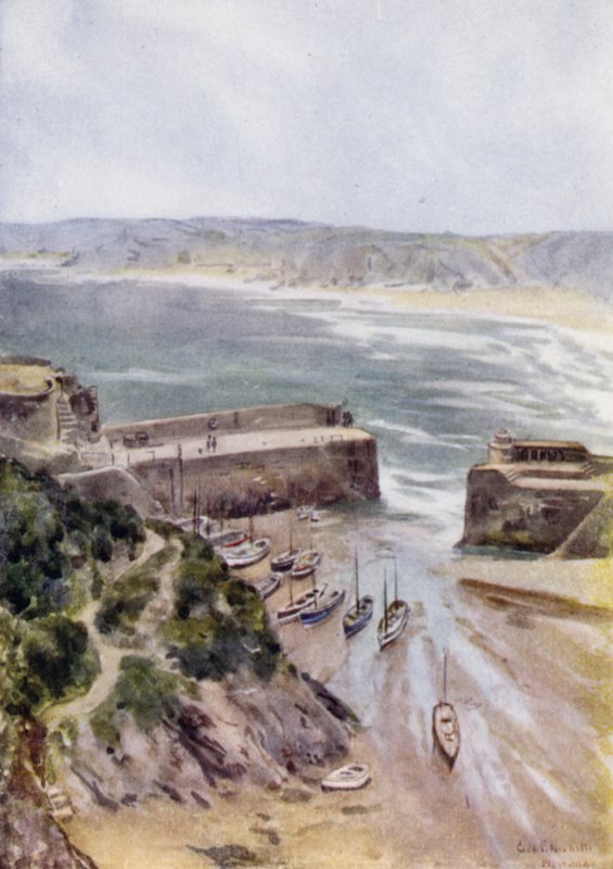 Newquay da George Franck Nicholls