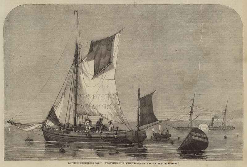 Pesca britannica, n. 7, trotting per whelks da George Henry Andrews
