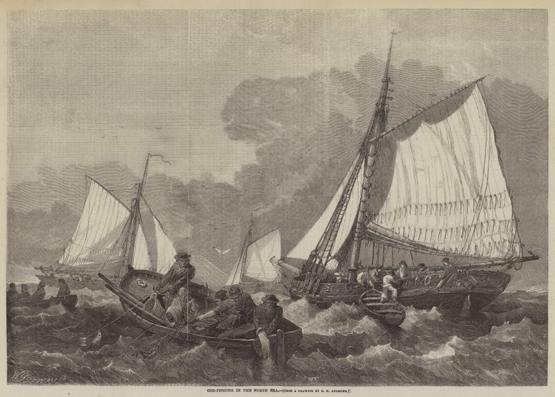 Pesca del merluzzo nel Mare del Nord da George Henry Andrews