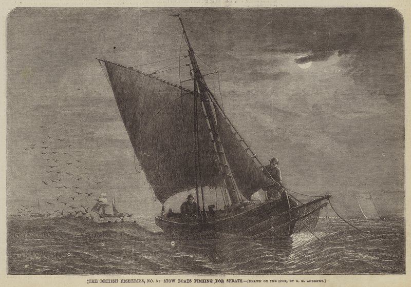 Le pescherie britanniche, n. 3, barche di stoccaggio che pescano spratti da George Henry Andrews