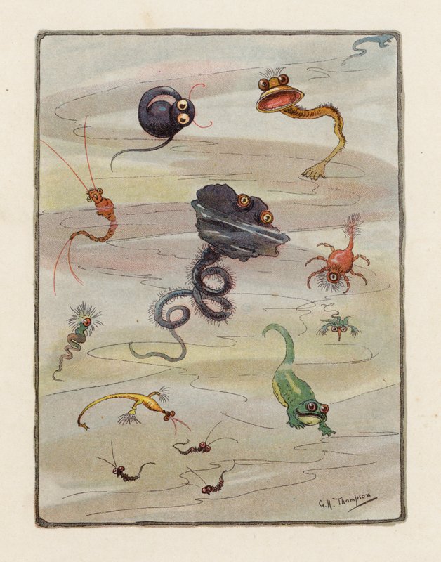 Il microbo da George Henry Thompson