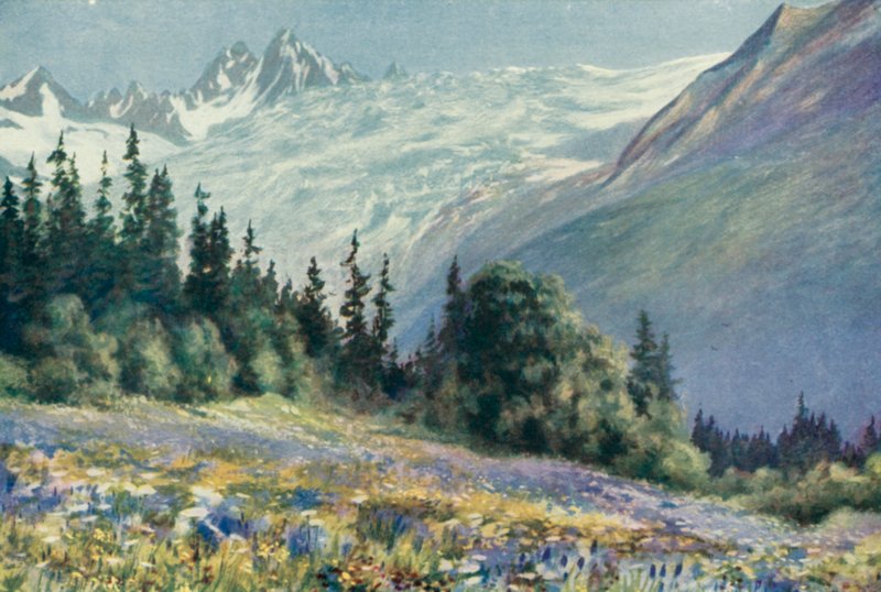 Campanula e altri fiori di luglio sul Col Des Montets da George Jackson Flemwell