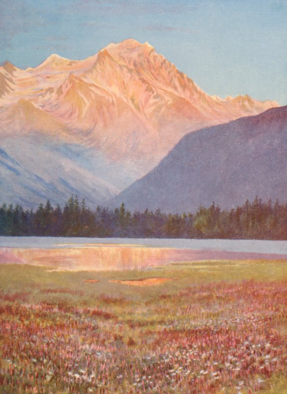 Sera tra i campi di bistorta rosa al Lac Champex; bagliore del tramonto sul Grand Combin, luglio da George Jackson Flemwell