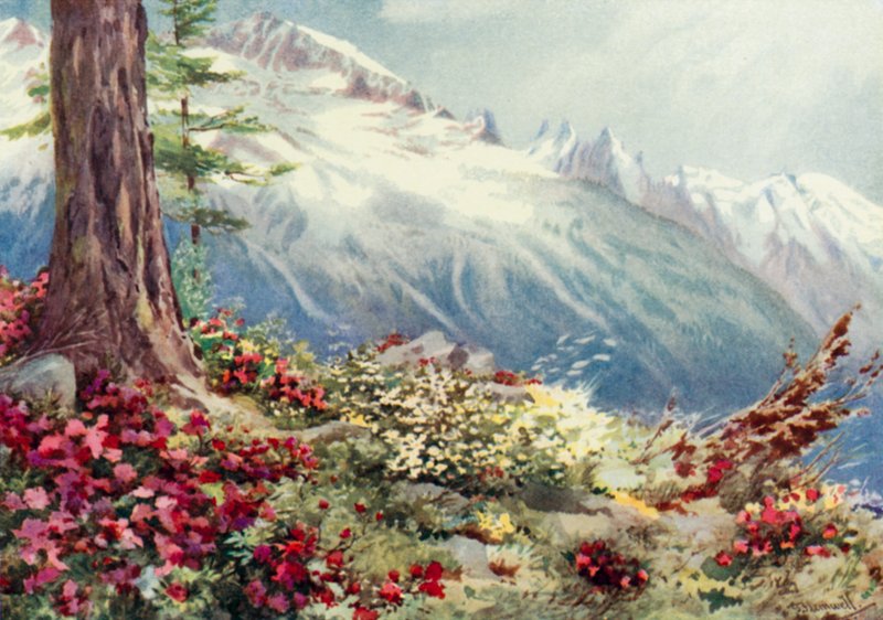 Il Monte Bianco e l