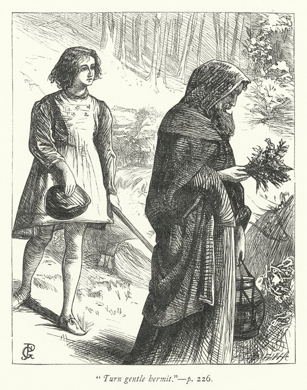 Illustrazione per L