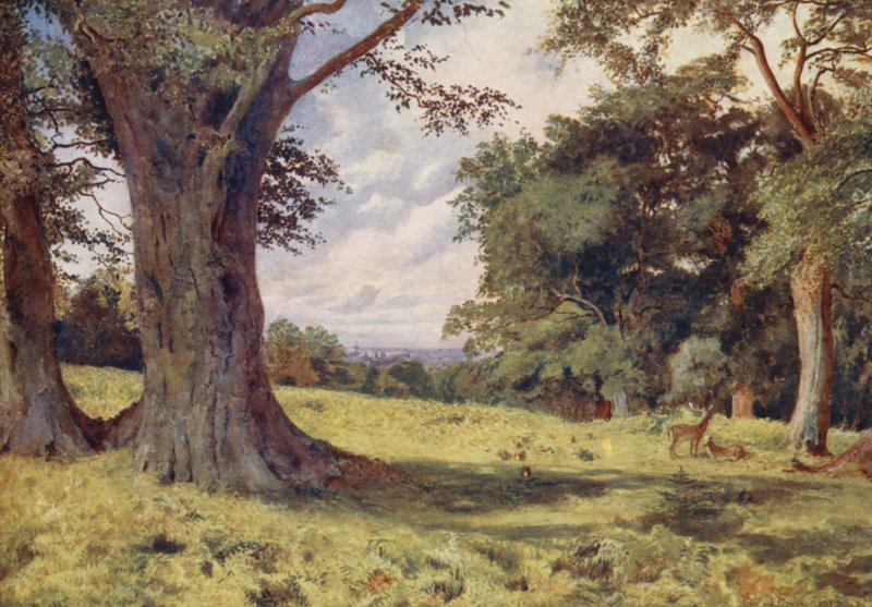 Una radura nel Windsor Great Park da George Moore Henton