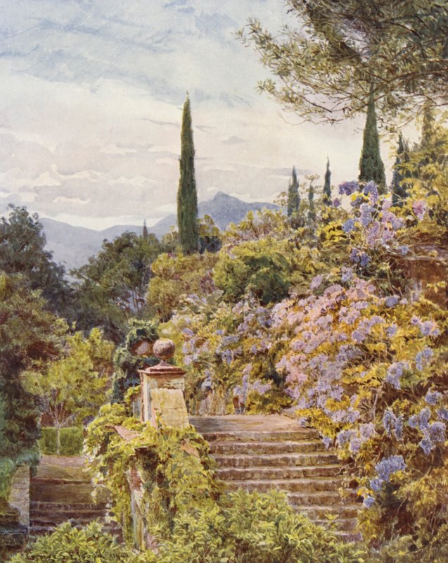 Giardini Italiani: Glicine, Villa Cavagnaro da George Samuel Elgood