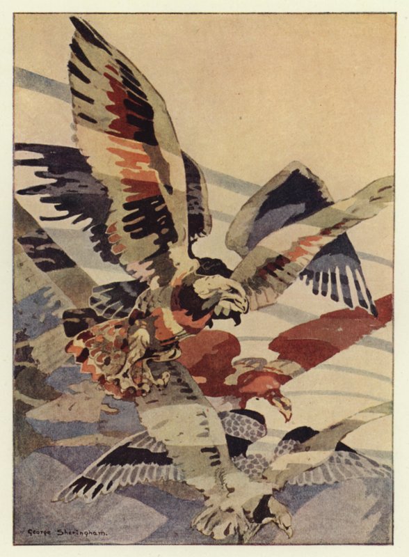 La grande aquila ha creato i venti per lui da George Sheringham