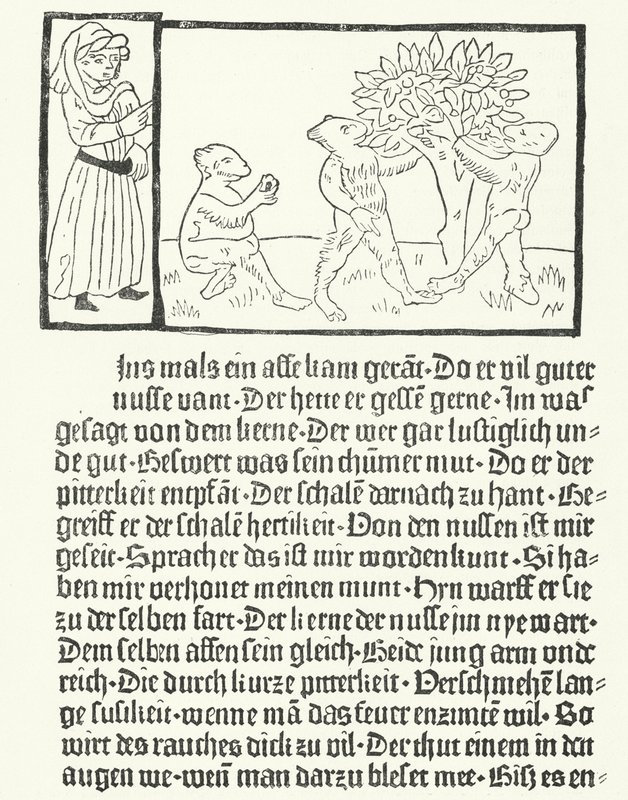 Una scena dal libro 