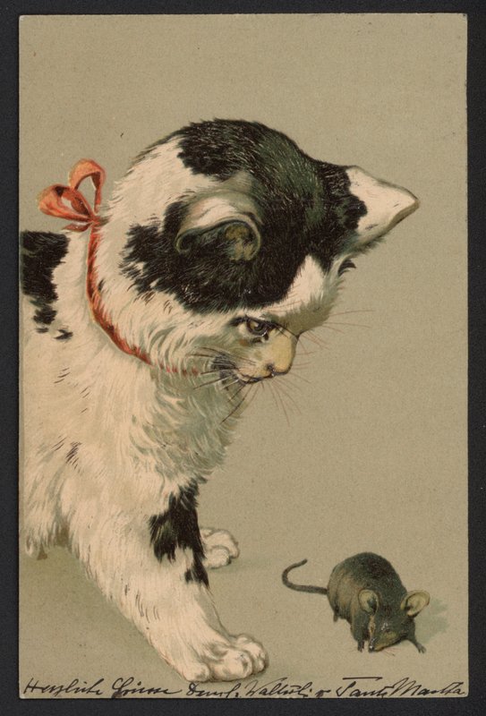 Gatto che gioca con un topo (litografia a colori) da German School