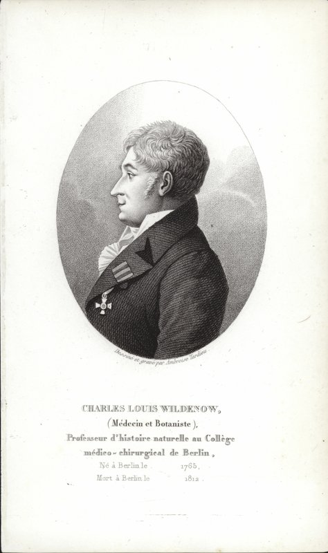 Charles Louis Wildenow da German School