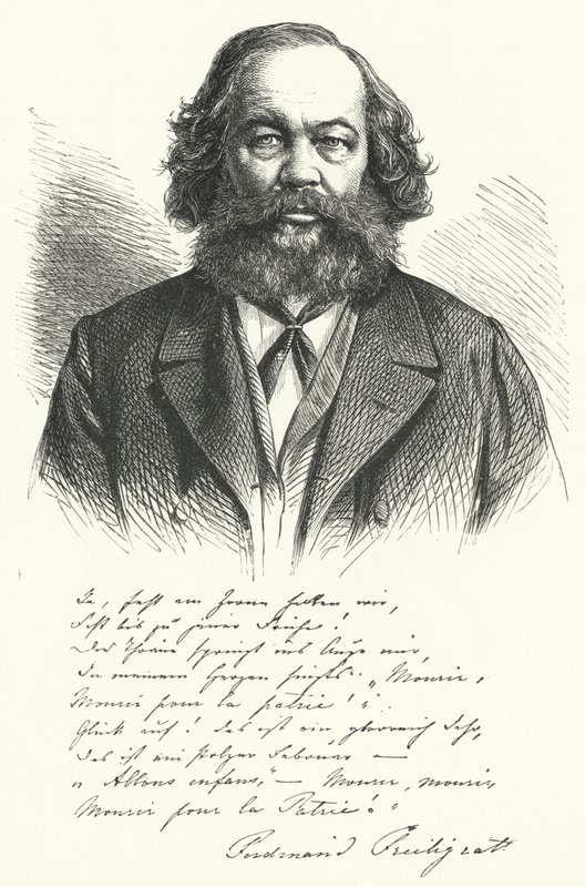 Ferdinand Freiligrath, poeta, traduttore e agitatore politico liberale tedesco (incisione) da German School