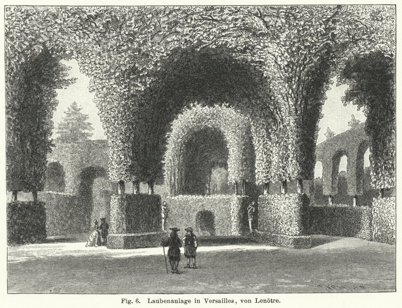 Progettazione del giardino: pergolati nei giardini di Versailles, Francia, disegnati da André Le Nôtre nel XVII secolo da German School
