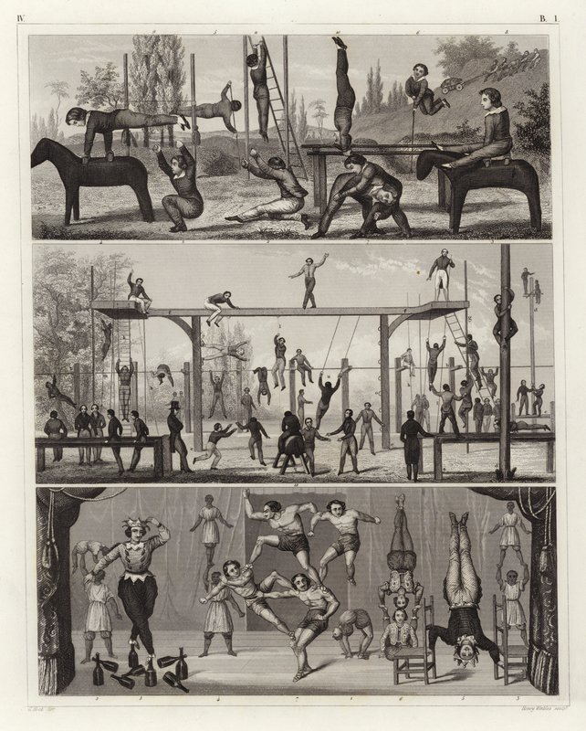 Ginnastica e acrobazie da German School