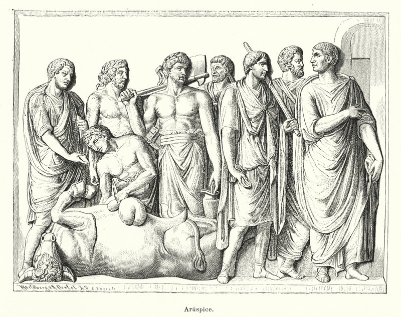 Aruspice, antico sacerdote romano che esaminava le viscere degli animali sacrificati per predire il futuro da German School