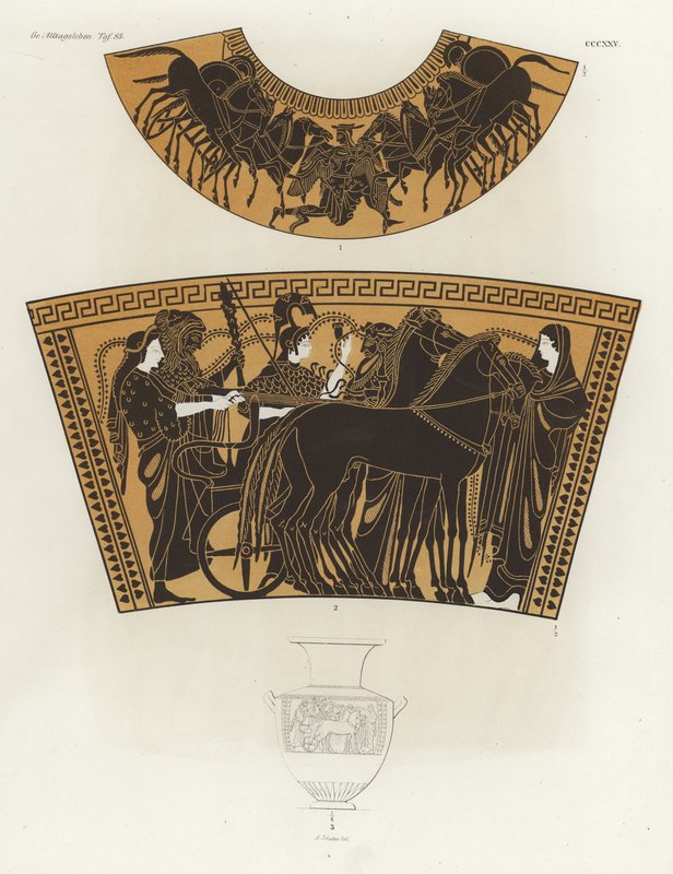 Ercole nell
