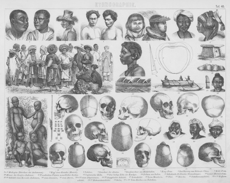 Illustrazione per Bilder-Atlas: Razze e teschi da German School