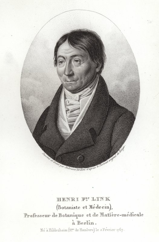Johann Heinrich Friedrich Link da German School