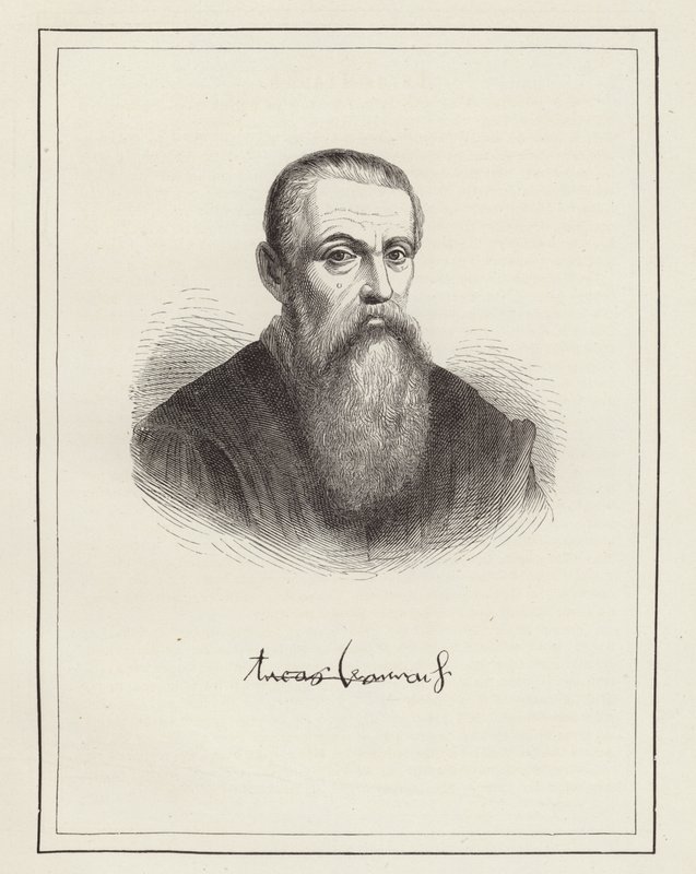 Lucas Cranach da German School