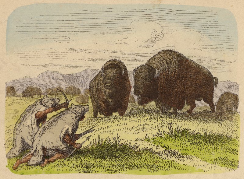 Nativi americani che indossano pelli di lupo cacciando bufali (incisione colorata) da German School