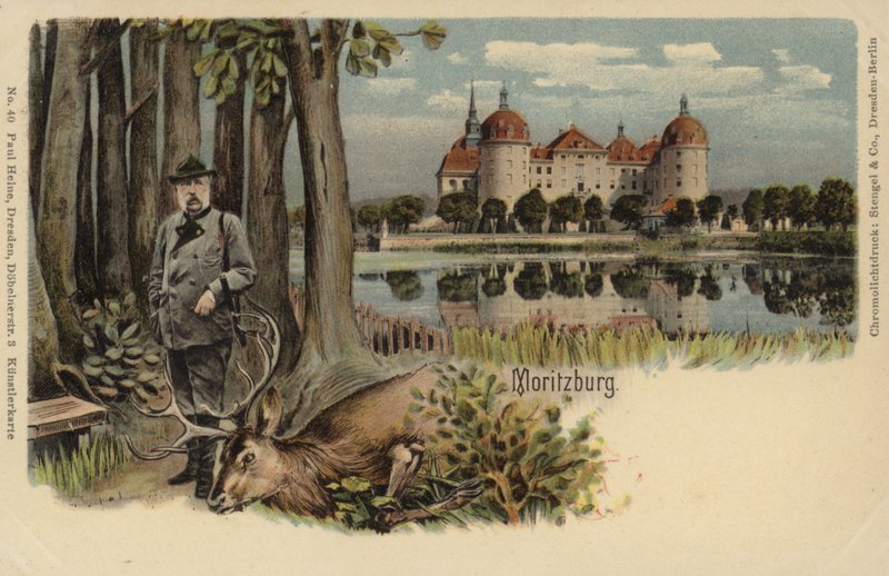 Cartolina raffigurante un uomo con un cervo abbattuto con il castello di Moritzburg sullo sfondo da German School
