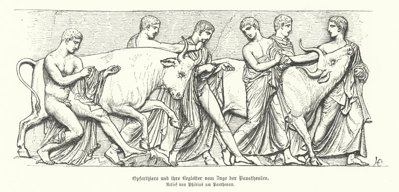 Animali sacrificali nella processione dell
