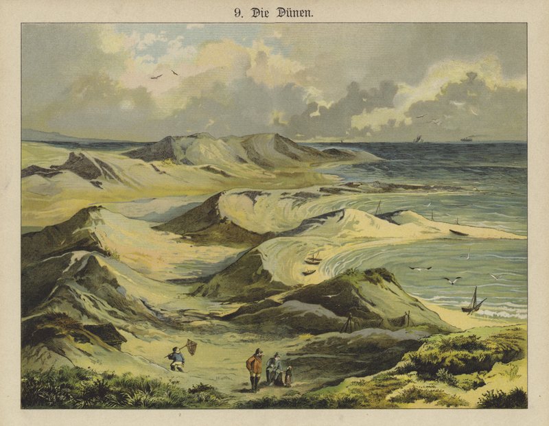 Dune di sabbia da German School