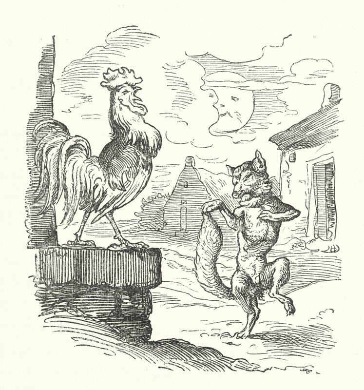 Il Gallo e la Volpe da German School