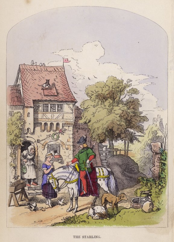 Lo storno (litografia a colori) da German School