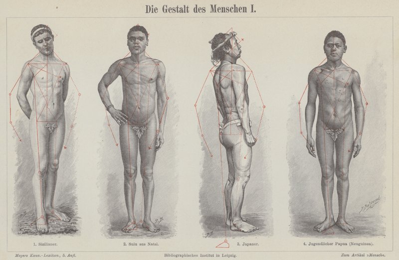 La figura umana da German School