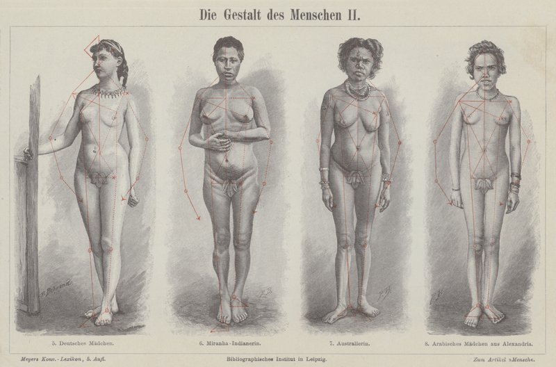 La figura umana da German School