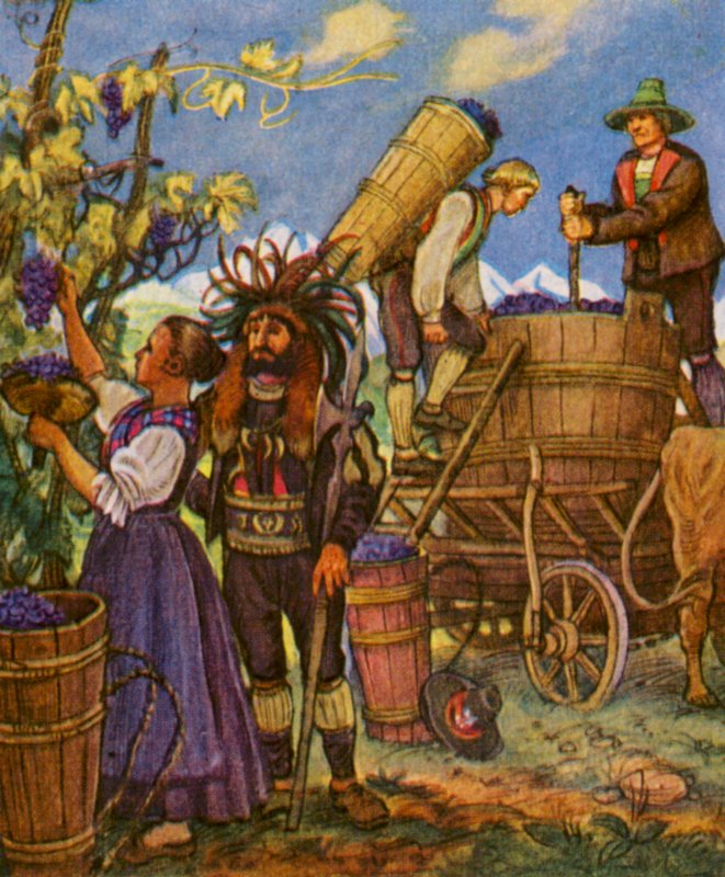 Vendemmia tirolese da German School