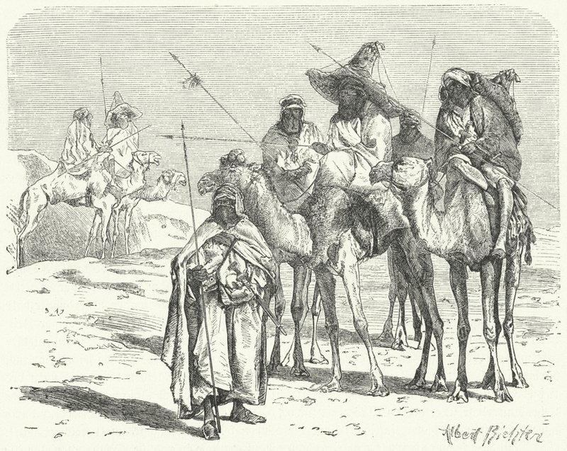 Tuareg (incisione) da German School