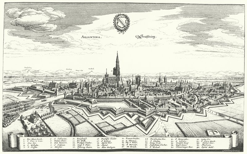 Veduta di Strasburgo da German School