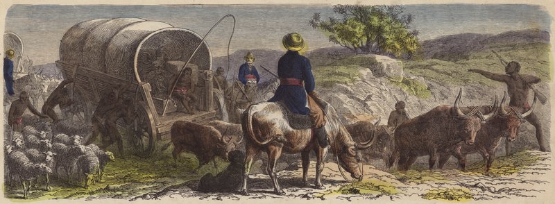 Carovana in Sudafrica da German School