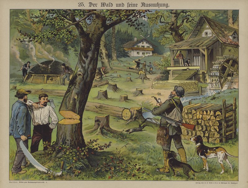 Lavoratori del legno (litografia a colori) da German School