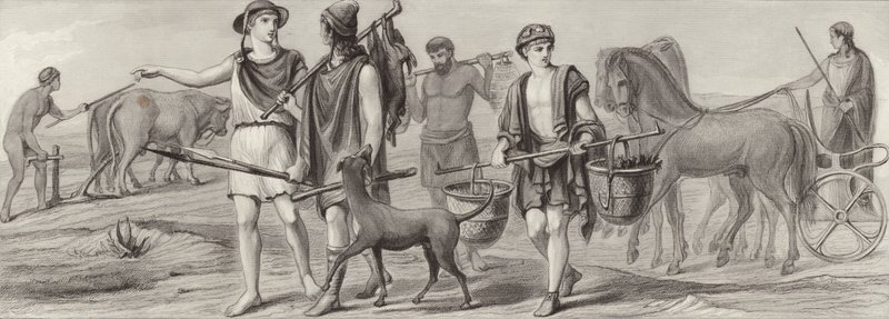 Lavoro e occupazioni nell