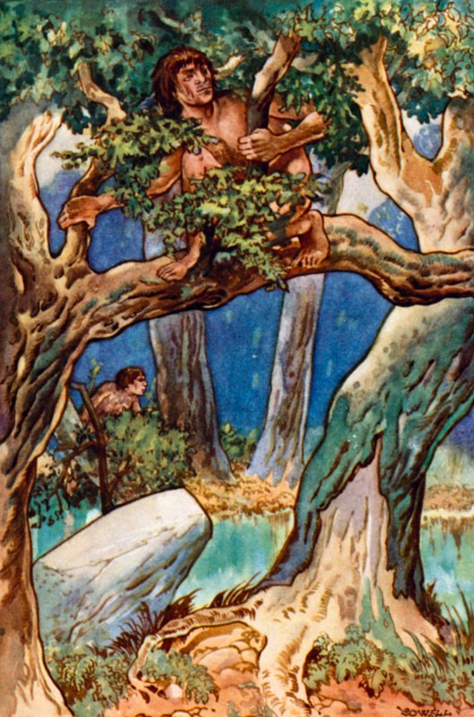 Tanto, tanto, tanto tempo fa, uomo nella foresta e nella palude da Gertrude Hamilton