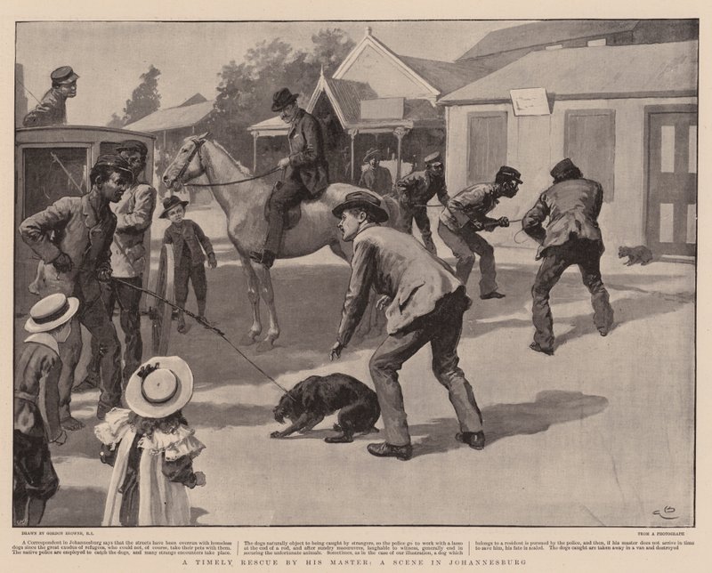 Un salvataggio tempestivo da parte del suo padrone, una scena a Johannesburg da Gordon Frederick Browne