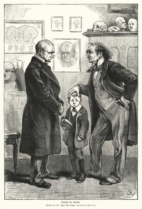 Sentire i suoi Urti (incisione) da Gordon Frederick (after) Browne