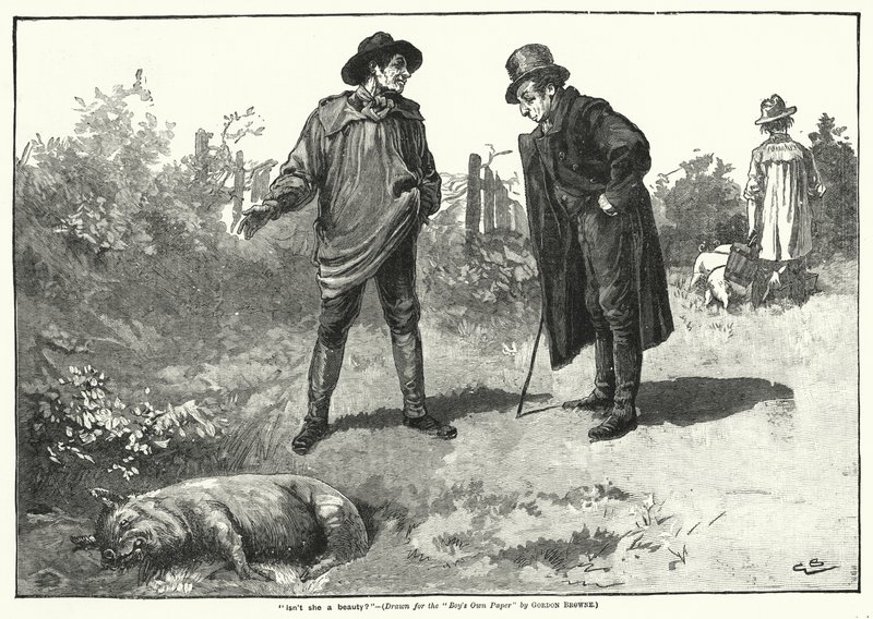 "Non è una bellezza?" (incisione) da Gordon Frederick (after) Browne