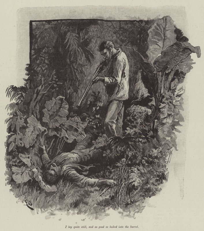 Uma, o la spiaggia di Falesa, di Robert Louis Stevenson da Gordon Frederick Browne