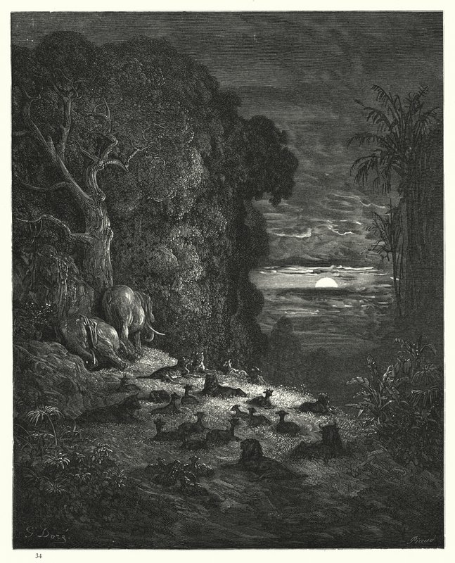 Illustrazione di Gustave Doré per Il Paradiso Perduto di Milton, Libro VII, versi 581, 582 da Gustave Dore