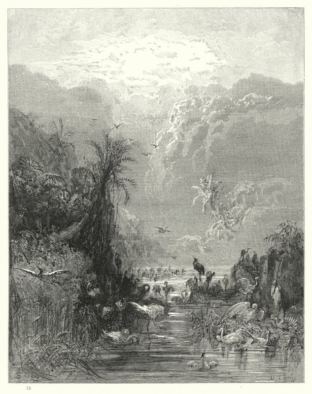 Illustrazione di Gustave Doré per Il Paradiso Perduto di Milton, Libro VII, versi 417, 418 da Gustave Dore