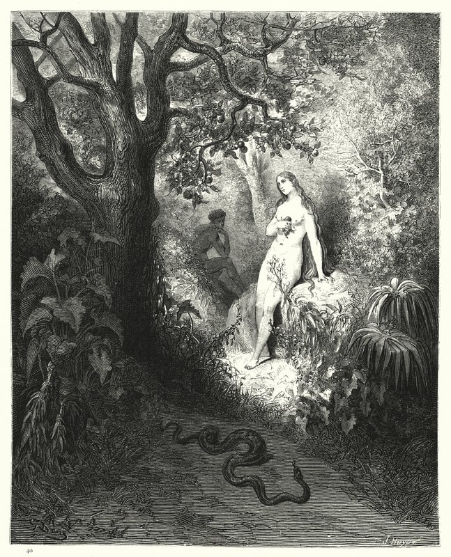Illustrazione di Gustave Doré per Il Paradiso Perduto di Milton, Libro IX, versi 784, 785 da Gustave Dore