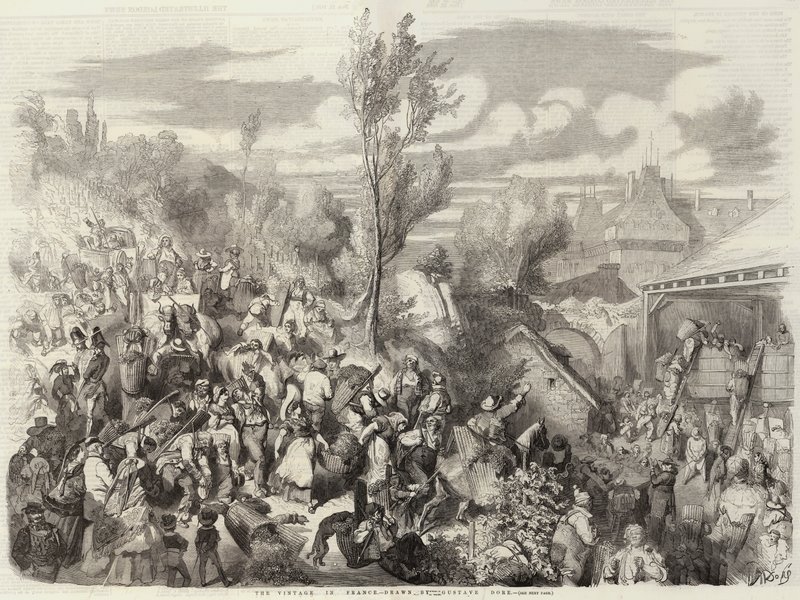 La vendemmia in Francia da Gustave Dore