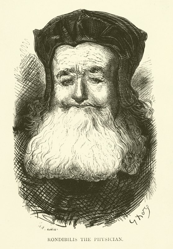 Illustrazione per le opere di Rabelais da Gustave after Dore