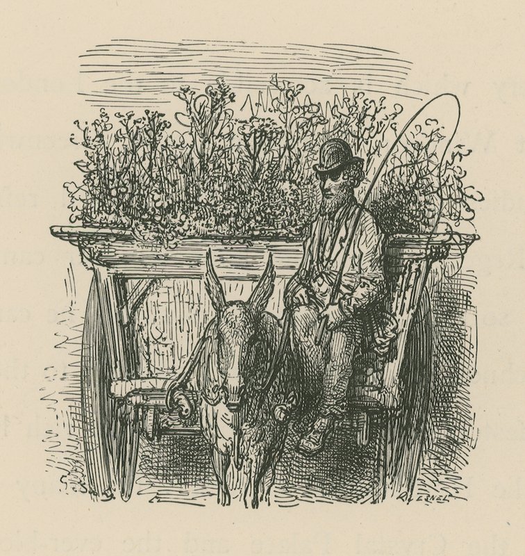 Un uomo che guida un carro carico di piante e fiori da Gustave Dore