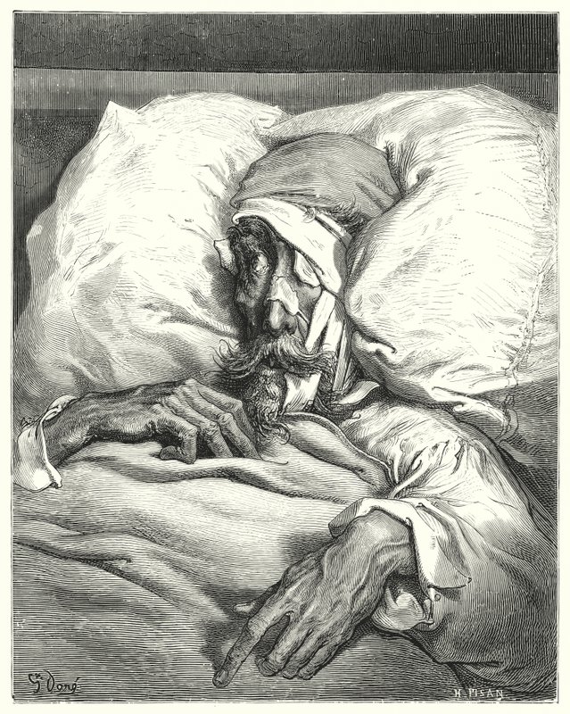 Don Chisciotte di Gustave Doré: "Don Chisciotte, così sfortunatamente ferito, era estremamente cupo e malinconico" da Gustave Dore