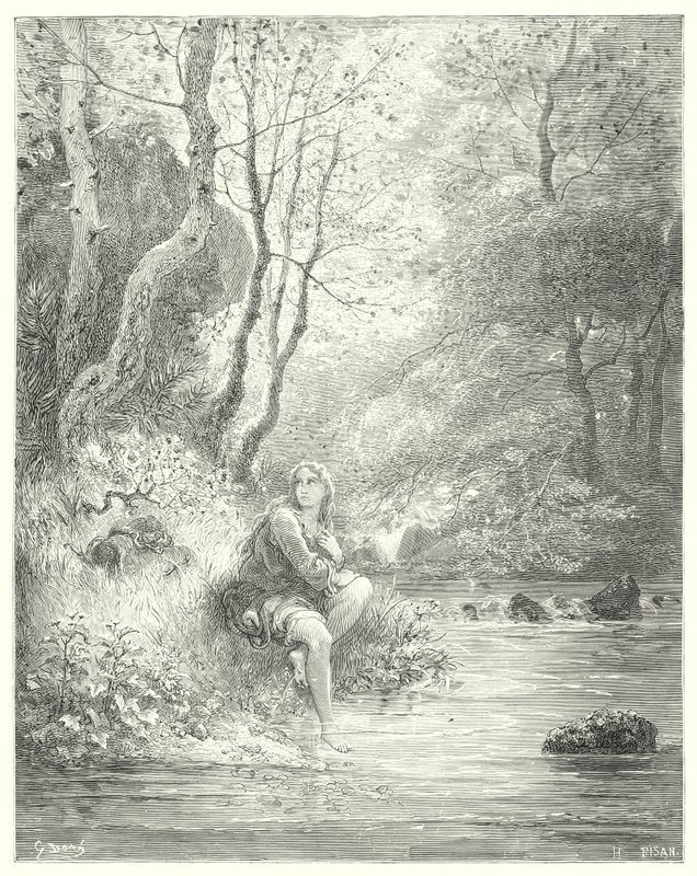 Don Chisciotte di Gustave Doré: "Videro un giovane in abito campagnolo, seduto ai piedi di una roccia dietro un frassino" da Gustave Dore